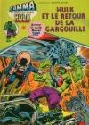 Zoom sur l'image